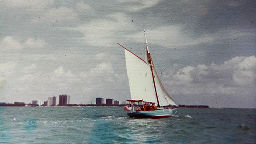 sail boat in the harbor